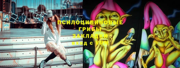 стафф Алзамай