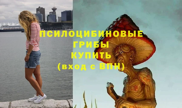 стафф Алзамай